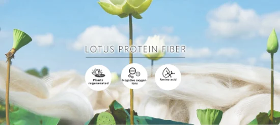 Fils de protéines fonctionnelles fibre de Lotus/fils de coton, fils d'acides aminés pour tissu à tricoter